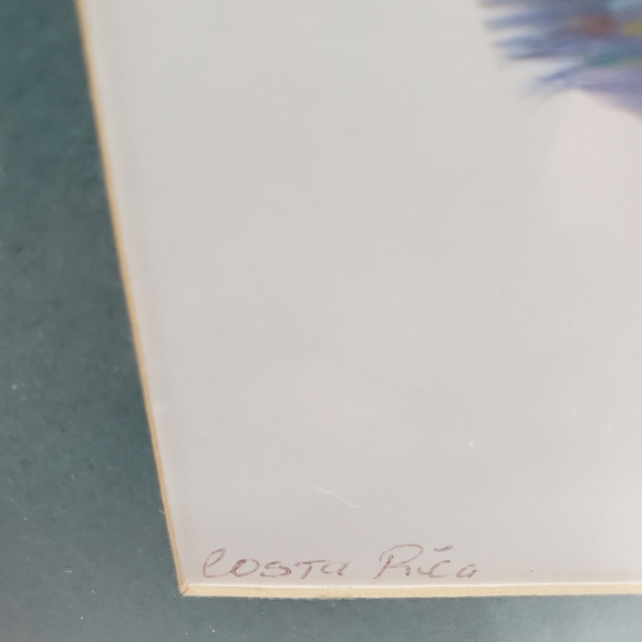 Original Feather Oil Paintings Artist: Roboide 2000 Parrots and Tropical Sunset - Picture 10 of 10